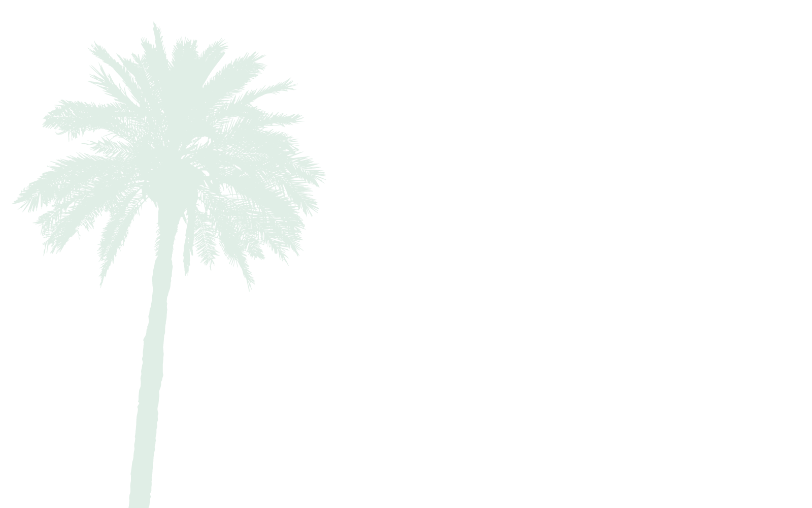 Palm Tree